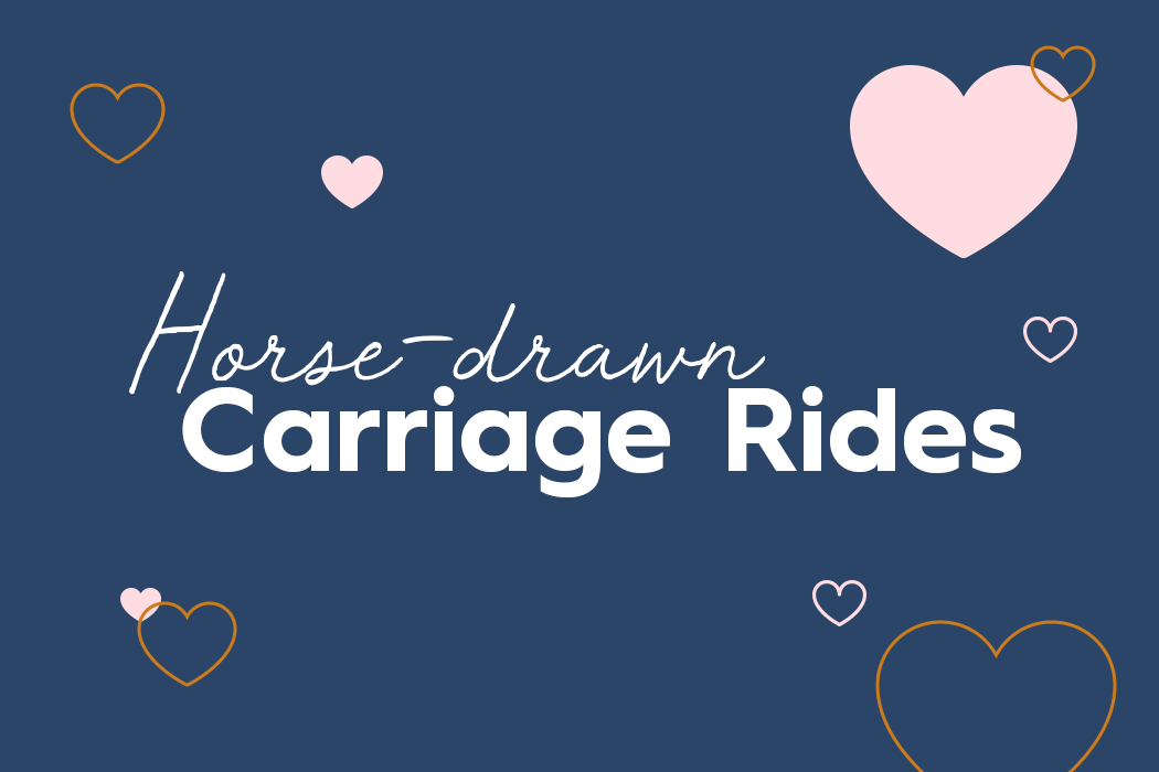 Horse-drawn Carriage Rides